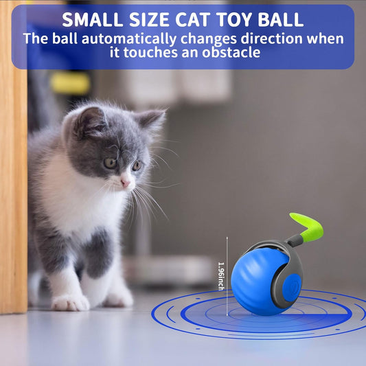 Endless Fun Cat Toy Ball